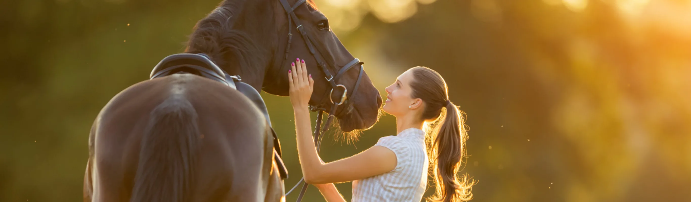 Golden Sunset Woman With Horse